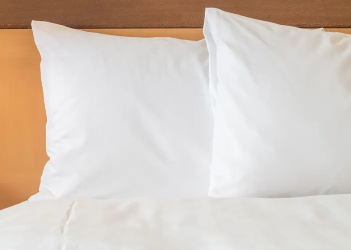 Express Centre By Ihg Hotell Bristol